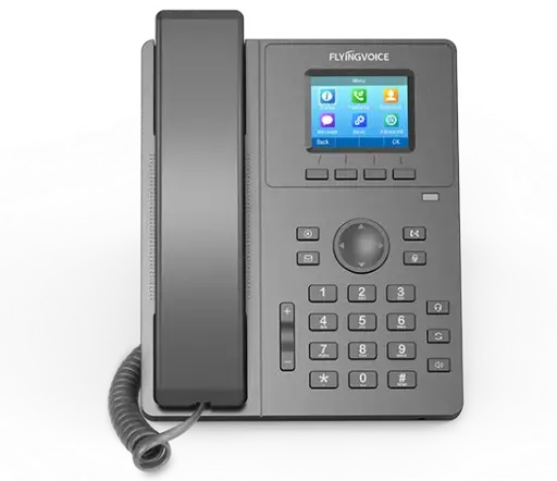 [P11G] FLYINGVOICE - P11G